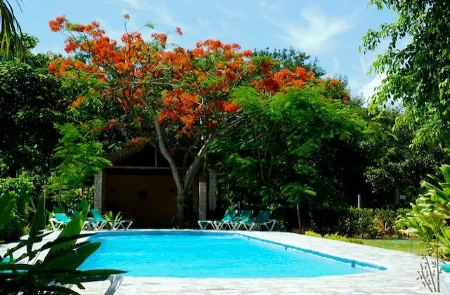 Bali Hai Cabarete jardin piscina
